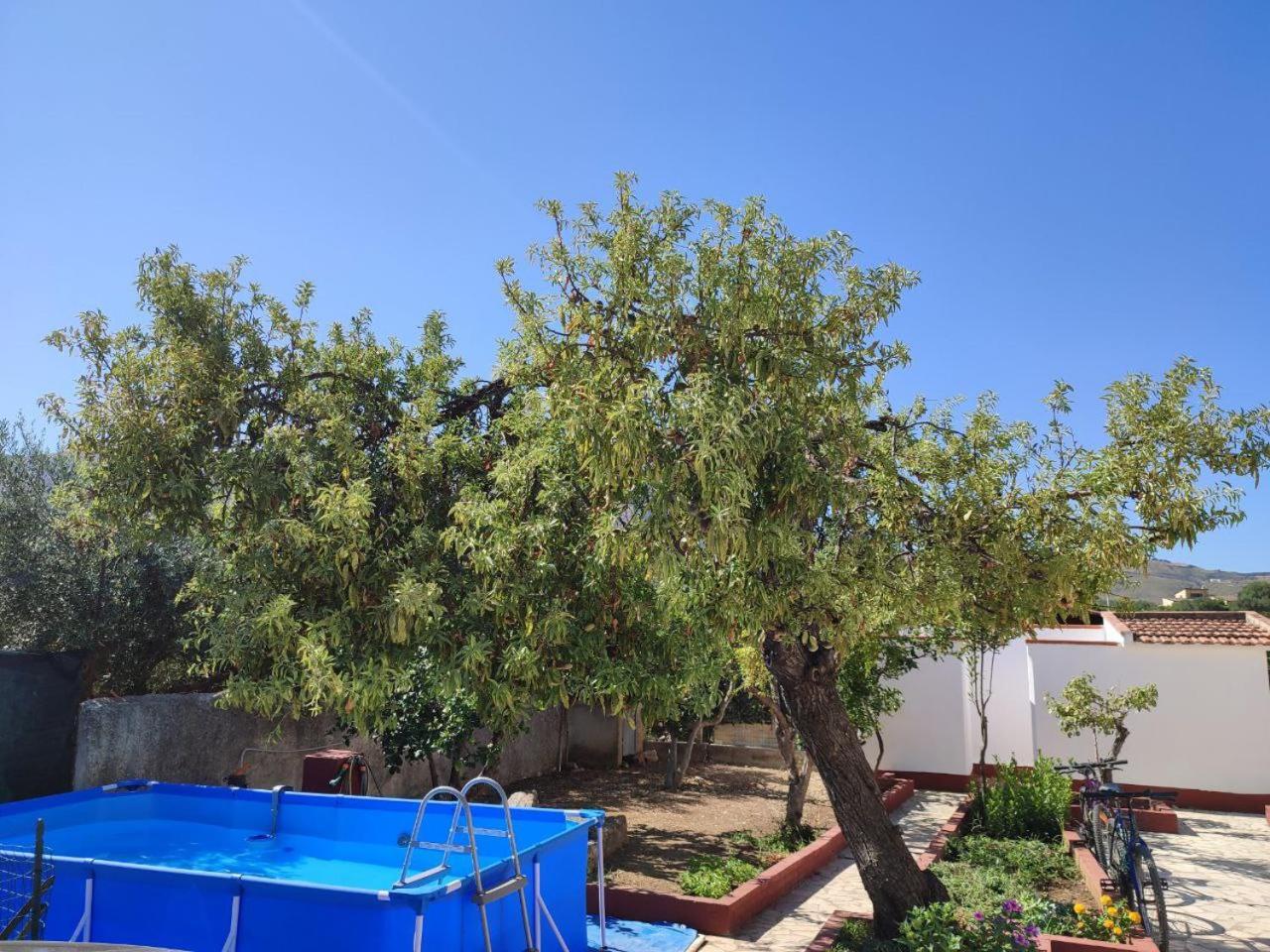 Villa Rosa كاستيلاّماري ديل غو المظهر الخارجي الصورة